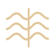 Beach Towels