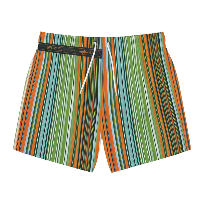 Righe colorate (BKS)🩳Costume da bagno